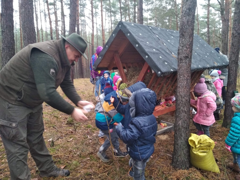 Dokarmianie zwierząt w lesie.