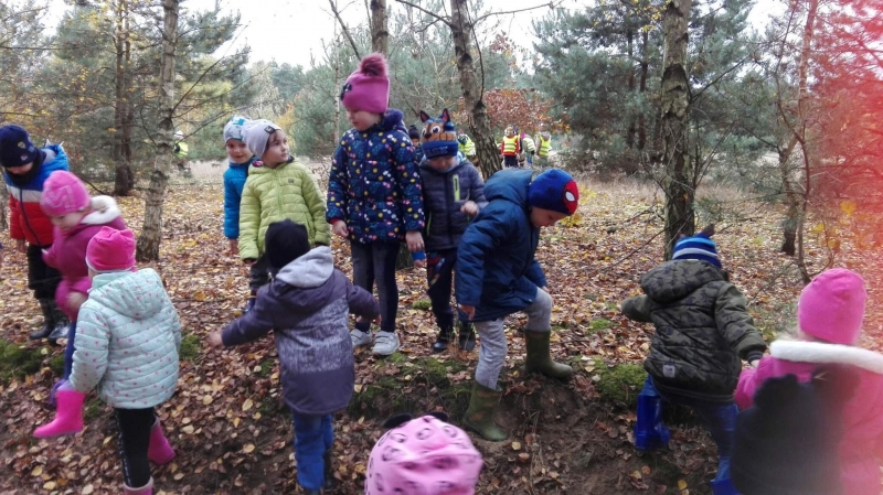 Biedronki i Żabki w lesie.